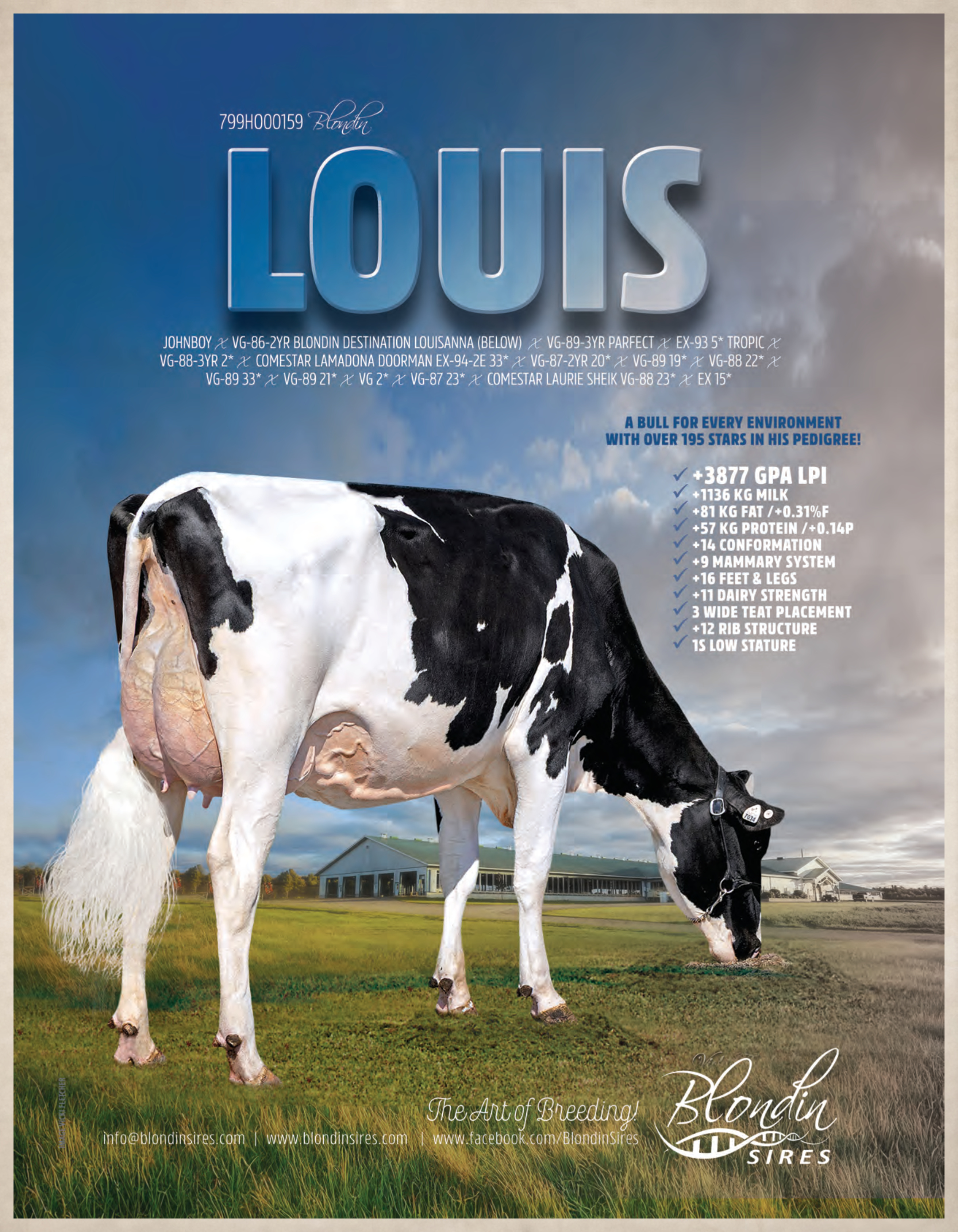 LOUIS — 799HO00159